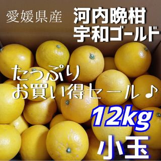 【数量限定】愛媛県産☆河内晩柑 宇和ゴールド 小玉12キロ☆(フルーツ)