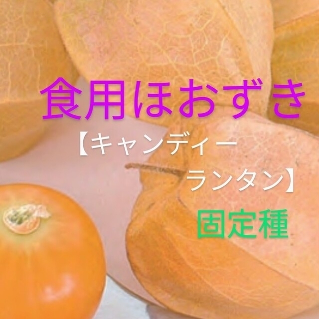 パーマンさま御注文🍅固定種 トマト 苗 食品/飲料/酒の食品(野菜)の商品写真