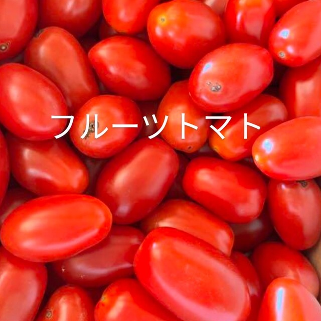 パーマンさま御注文🍅固定種 トマト 苗 食品/飲料/酒の食品(野菜)の商品写真