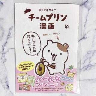 サンリオ(サンリオ)のSanrio 新宿店 配布 チームプリン 漫画 小冊子(その他)