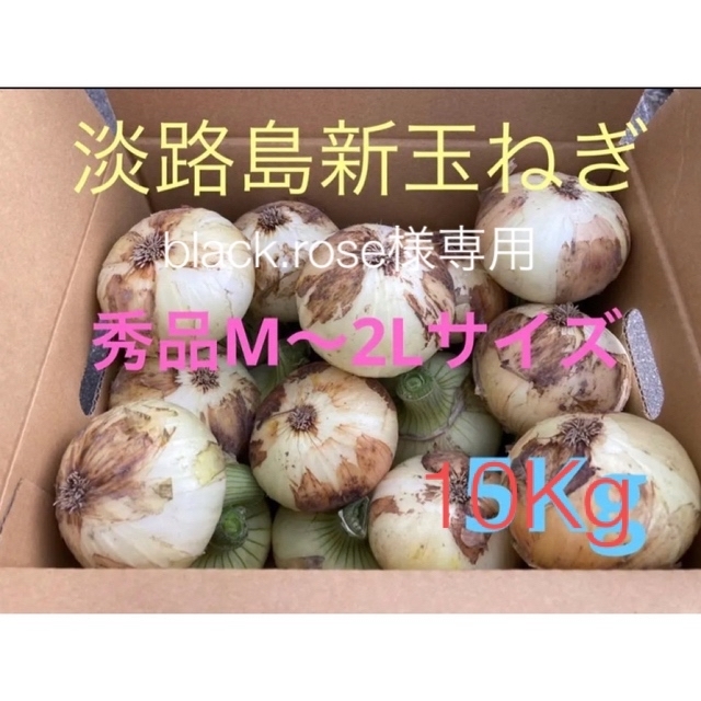 ⭕️秀品M〜2Lサイズ10Kg⭕️淡路島新玉ねぎ　たまねぎ　玉葱 食品/飲料/酒の食品(野菜)の商品写真