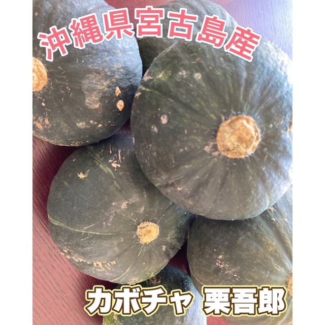 【SALE】かぼちゃ 栗吾郎 沖縄県 宮古島産 食品/飲料/酒の食品(野菜)の商品写真