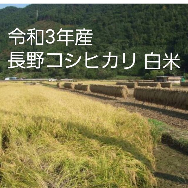 令和3年産長野コシヒカリ白米30㎏（10㎏×3）米/穀物