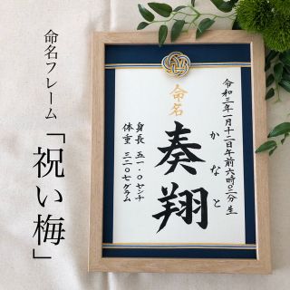 命名書オーダー　水引フレーム「祝い梅」通常版(命名紙)