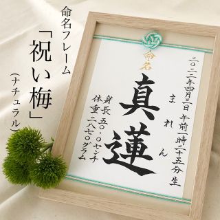 命名書オーダー　水引フレーム「祝い梅」ナチュラル(命名紙)