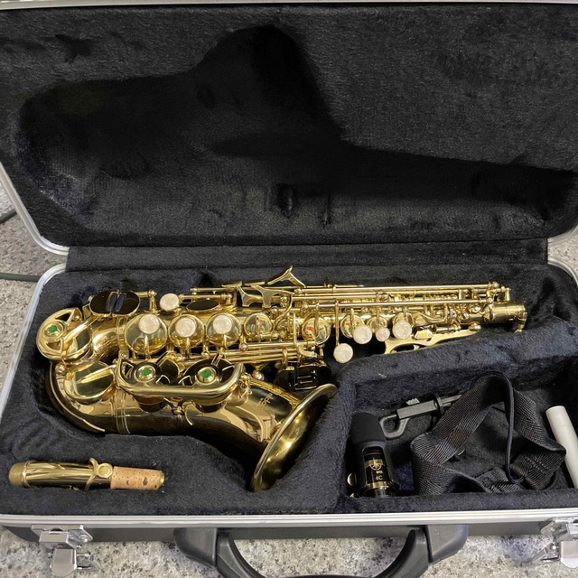 BUESCHER TRUE TONE ALTO 23万番代　アルトサックス