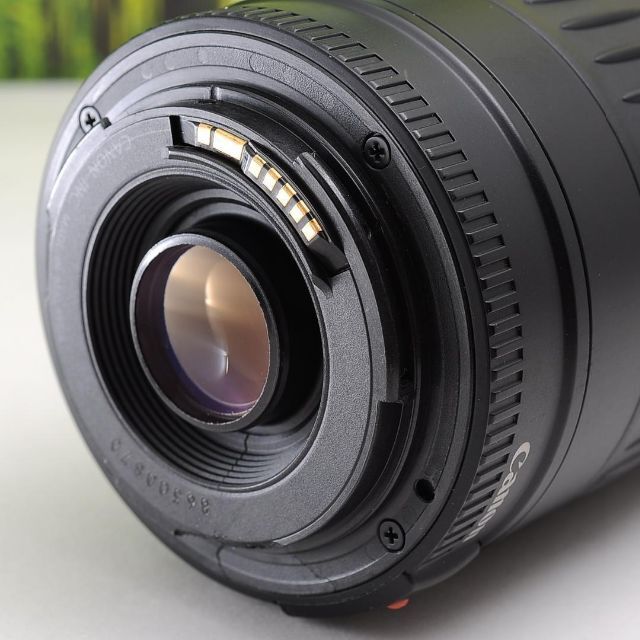 新しい季節 Canon Canon 7D☆高速連写で速い動きの被写体もOK