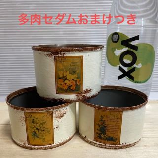 リメイク缶 リメ缶 3個セット 多肉セダムおまけつき(その他)