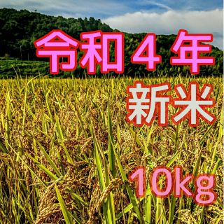 令和４年産新米 低農薬玄米１０キロ 山田錦の里より農家直送　(精米サービス中)(米/穀物)