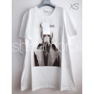 マックスマーラ(Max Mara)のMAX MARA MMDOG マックスマーラ Tシャツ ロゴ 白 XS(Tシャツ(半袖/袖なし))