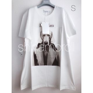 MAX MARA MMDOG T-SHIRT LOGO Tシャツ ロゴ付 白 S