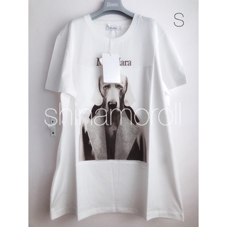 マックスマーラ(Max Mara)のMAX MARA MMDOG T-SHIRT LOGO Tシャツ ロゴ付 白 S(Tシャツ(半袖/袖なし))