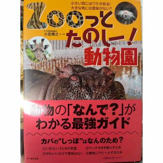 Ｚｏｏっとたのしー！動物園 小さい耳にはワケがある！　大きな角には意味がない？(科学/技術)