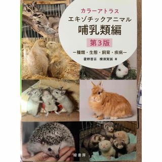 カラーアトラスエキゾチックアニマル哺乳類編 種類・生態・飼育・疾病 第３版(科学/技術)