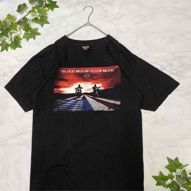 Tシャツ　ハーレーダビッドソン　激レア　　お洒落　レトロ　バイク　風景 5