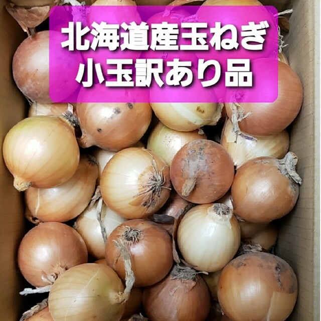 北海道産　玉ねぎ　訳あり品　２Sサイズ小玉　約１０キロ 食品/飲料/酒の食品(野菜)の商品写真