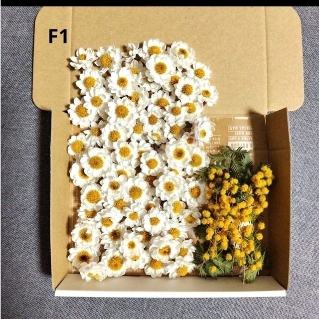 専用 F1.ドライフラワー(花かんざし) ハンドメイドのフラワー/ガーデン(ドライフラワー)の商品写真