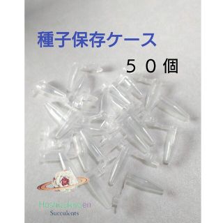 種子 花粉 保存容器 キャップ付き 50個 エケベリア リトープス(その他)