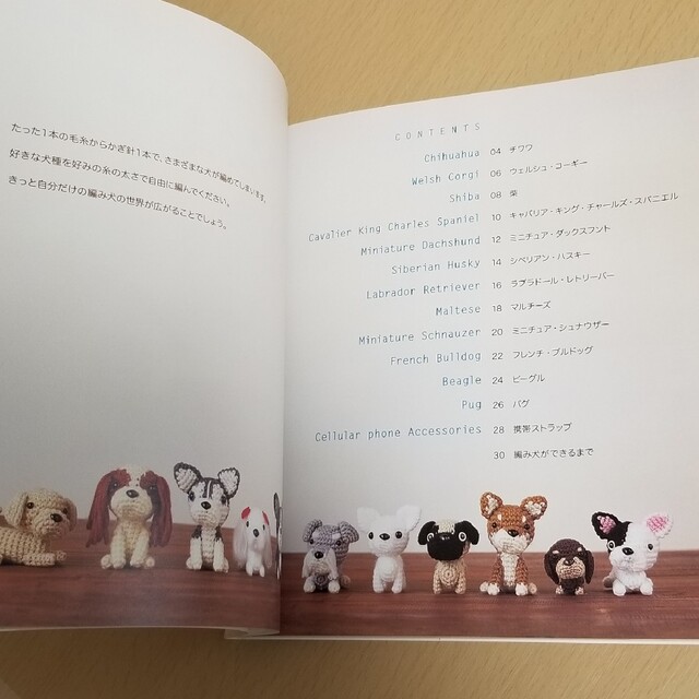 編み犬の毎日 Ａｍｉ　ａｍｉ　ｄｏｇｓ エンタメ/ホビーの本(趣味/スポーツ/実用)の商品写真