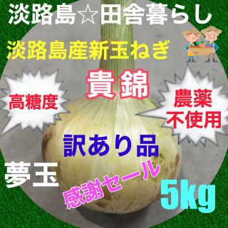 感謝セール✨淡路島産新玉ねぎ5kg 貴錦 訳あり品 農薬不使用 高糖度 夢玉(野菜)