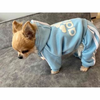 アディダス(adidas)の犬 服 ジャージ 青 Lサイズ(ペット服/アクセサリー)