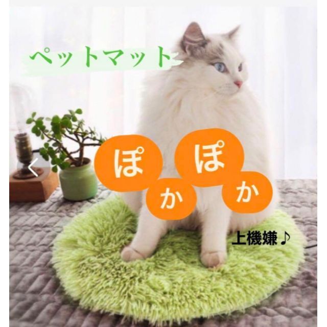 【新品⭐︎大特価❗️】ペットマット　USB挿すだけ！グリーンカラー その他のペット用品(猫)の商品写真