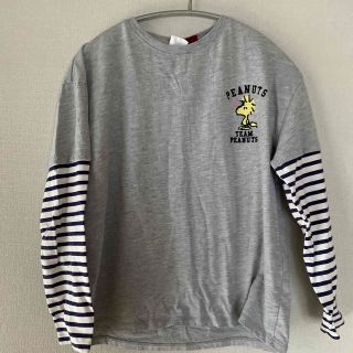 ザラキッズ(ZARA KIDS)のZARAキッズ　　ロンT(Tシャツ/カットソー)