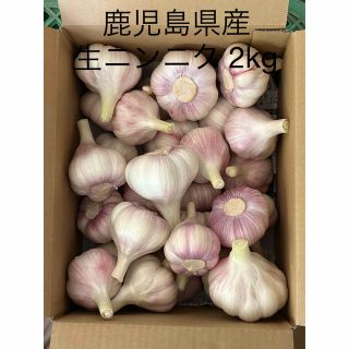 生ニンニク2kg 鹿児島県産(野菜)