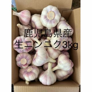 生ニンニク3kg 鹿児島県産(野菜)