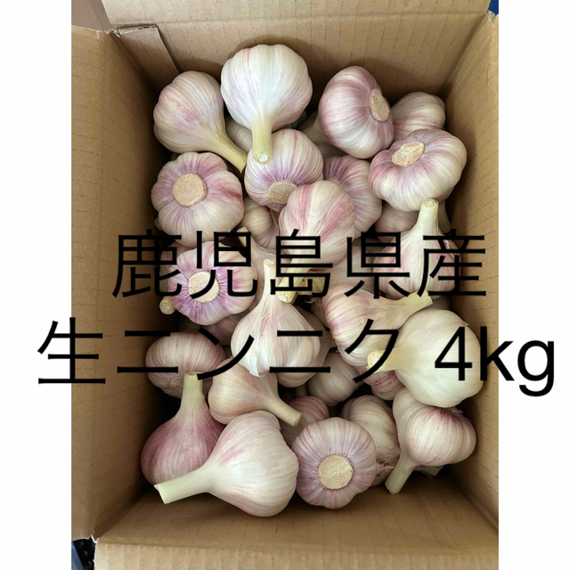 生ニンニク4kg 鹿児島県産 食品/飲料/酒の食品(野菜)の商品写真