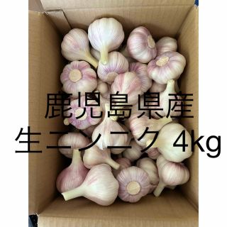 生ニンニク4kg 鹿児島県産(野菜)