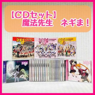 TVドラマ魔法先生ネギま!DVD-BOX 1学期/金田龍