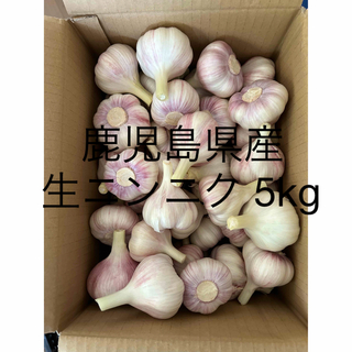 生ニンニク5kg 鹿児島県産(野菜)