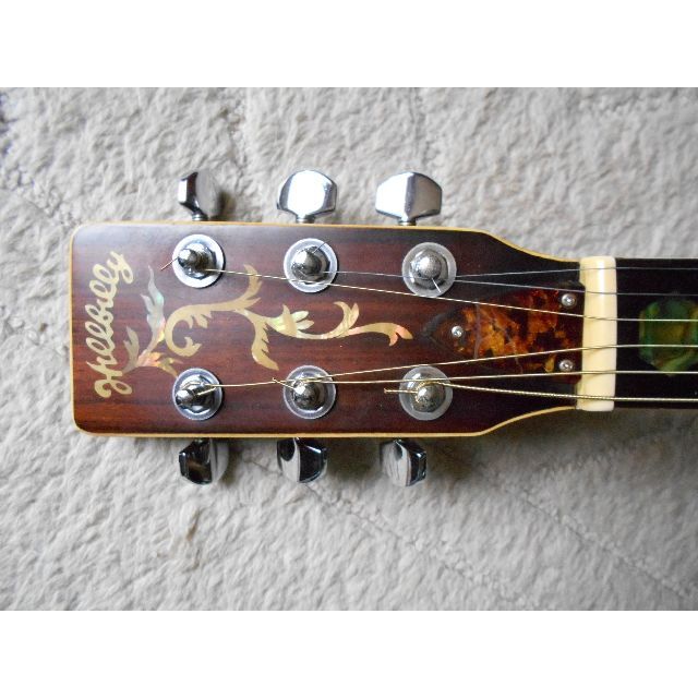 Hillbilly ヒルビリーW-60ギター超年代物美観品の通販 by 土竜堂 Hillbilly ヒルビリーW-60ギター超年代物美観品の通販 by 土竜堂