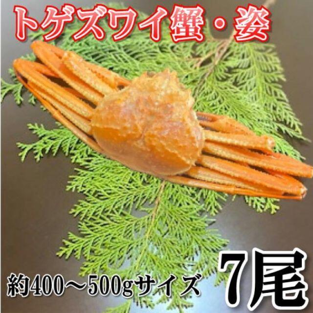 華麗　7尾　お歳暮】ボイルトゲズワイ蟹　冷凍　約400?500gサイズ　7390円引き