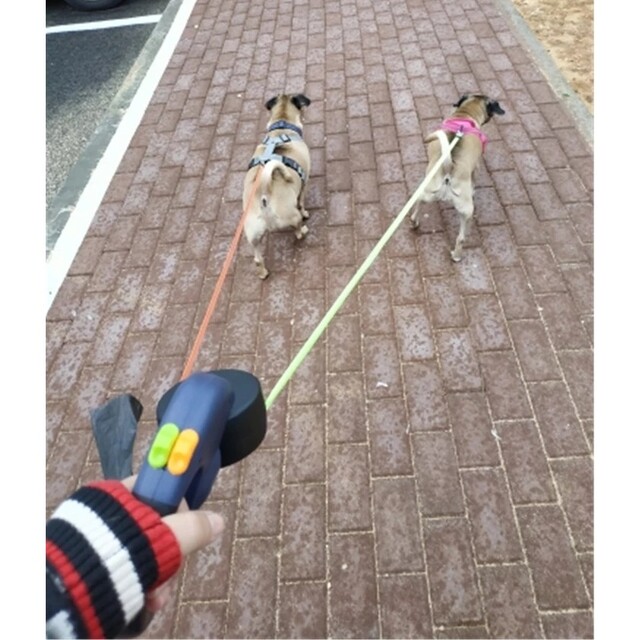 ブルー■多頭飼い用■絡まない自動巻きダブルリード■LEDライト付き■日本