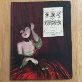 備品完備】RAYCAESARレイ・シーザー2008作品集美品 英語洋書 - アート