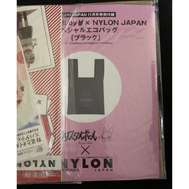 付録のみNYLON JAPAN 2007 11月号　ナイロンジャパン　ブラック エンタメ/ホビーの雑誌(その他)の商品写真
