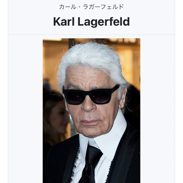 Karl Lagerfeld(カールラガーフェルド)の★KARL LAGERFELD【M】 カールラガーフィールド メンズロゴパーカー レディースのトップス(パーカー)の商品写真