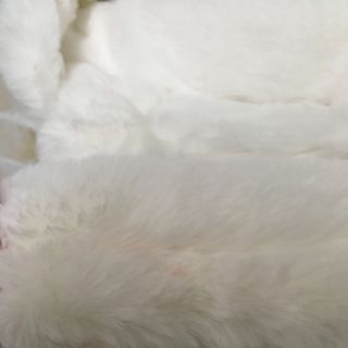 PINK HOUSE - 【激レア即完売】PINK House クマ ファー モコモコ
