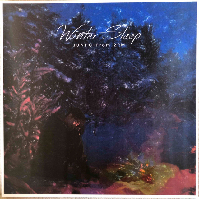 美品】 2PM リパッケージ盤 JUNHOジュノWinter JUNHO Sleep From 2PM