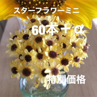 スターフラワーミニ  加工花材  ヒマワリ  茎付き60本＋α(各種パーツ)