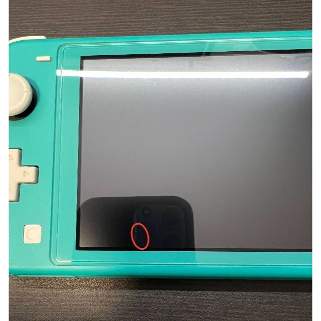 (343) 整備済み Switch Lite グレー