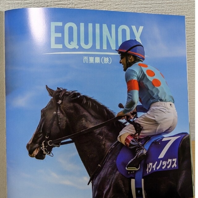 イクイノックス号ドバイシーマクラシック出資会員優勝記念品-