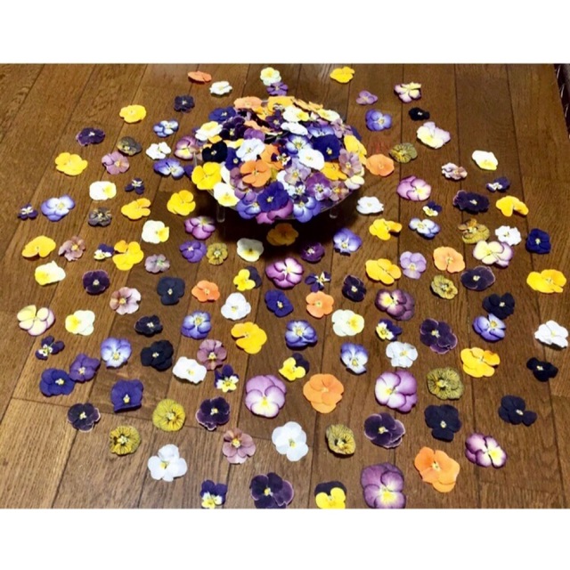 超お買い得‼️銀の紫陽花が作った彩りビオラのドライフラワー山盛り100 冠 ハンドメイドのフラワー/ガーデン(ドライフラワー)の商品写真