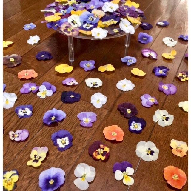 超お買い得‼️銀の紫陽花が作った彩りビオラのドライフラワー山盛り100 冠 ハンドメイドのフラワー/ガーデン(ドライフラワー)の商品写真