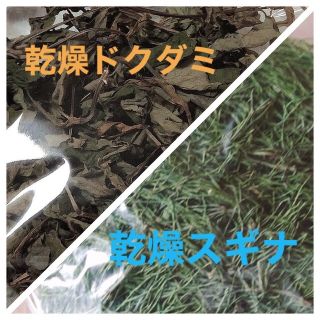 乾燥ドクダミ20gとスギナ20g 野草 無農薬 入浴剤 乾燥 化学肥料なし(野菜)