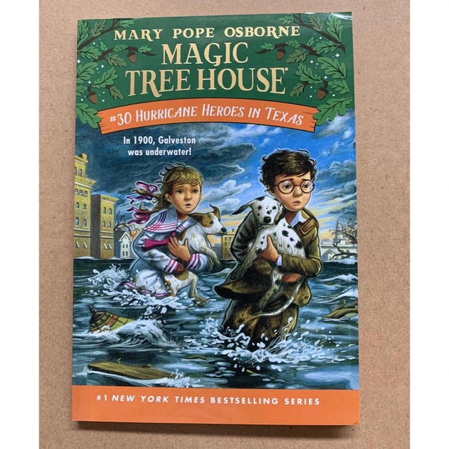 高品質版 マジックツリーハウス マイヤペン対応 magic tree house