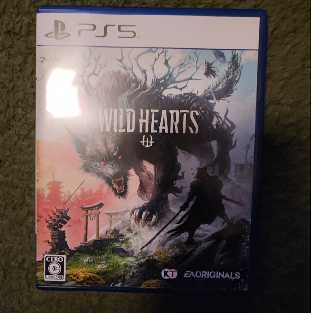 WILD HEARTS ワイルドハーツ PS5