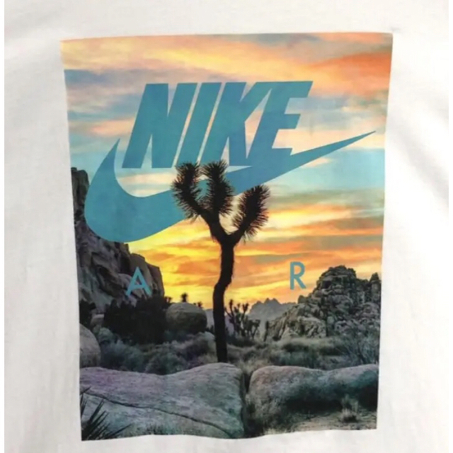 NIKE(ナイキ)のNIKE ナイキ ビッグプリント ビッグロゴ ボックスロゴ サボテン Tシャツ メンズのトップス(Tシャツ/カットソー(半袖/袖なし))の商品写真